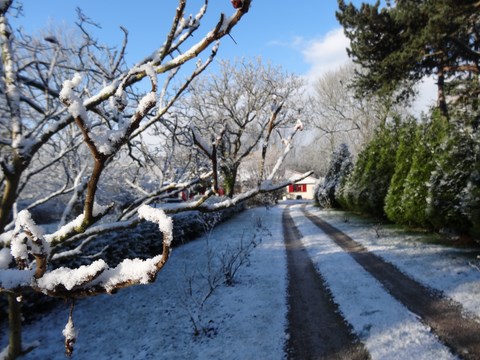 sous la neige